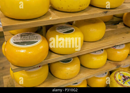 Amsterdam, Niederlande, Mai 2018, eingebrannte Käse auf Display für Verkauf in der Käserei. Stockfoto