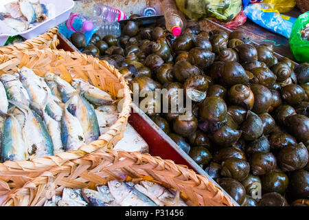 Frischer Fisch und Meeresfrüchte Anordnung auf Local Food Markt in Siem Reap, Kambodscha Stockfoto