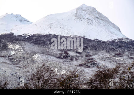 Die Berge in der Nähe von Ushuaia erhielt eine Menge Neuschnee. Dieser liegt auf dem Weg zum Nationalpark Tierra del Fuego. Stockfoto
