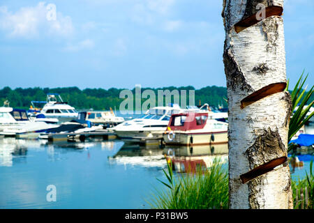 Im Vordergrund ein Baumstamm hat mehrere arty Kerben. Im Hintergrund liegt der Yachthafen "Port Aventura" in Mol, Belgien, mit Tag Kreuzer. Stockfoto