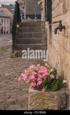 Dies ist ein schönes Detail des kleinen belgischen Stadt Durbuy entfernt. Rosa Blumen wachsen unter einem in einer Fassade tippen. Stockfoto