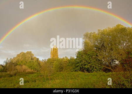 Hell bunt voller Regenbogen auf einem dunkelgrauen Himmel über marschland Landschaft mit Bäumen und Sträuchern in Bourgoyen natue finden, Gent Stockfoto