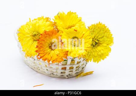 Calendula officinalis auf weißem Hintergrund Stockfoto