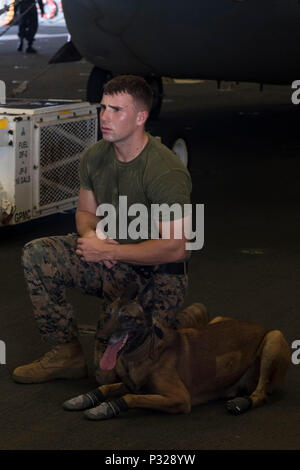 160823-N-NB 544-012 philippinischen Meer (Aug. 23, 2016) Cpl. Michael Steeves, aus Salem, Mass., grundlegende Gehorsam Ausbildung zu seinem militärischen Gebrauchshund, Kuko, an Bord amphibisches Schiff USS BONHOMME RICHARD (LHD6). Bonhomme Richard, dem Flaggschiff der Bonhomme Richard Expeditionary Strike Group, ist in den USA der 7. Flotte Bereich für Maßnahmen zur Erhöhung der Sicherheit und Stabilität in der Indo-Asia-Pazifik-Region. (U.S. Marine Foto von Mass Communication Specialist 2. Klasse Kyle Carlstrom/Freigegeben) Stockfoto