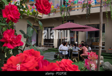 (180617) -- LUONAN, 17. Juni 2018 (Xinhua) - Touristen haben eine Mahlzeit in einem ländlichen Inn einer Rose Stadt in Luonan County im Nordwesten der chinesischen Provinz Shaanxi, 16. Juni 2018. Die rose Stadt in Luonan hat mehr als 200.000 Touristen seit seiner Eröffnung im Mai 2017 erhalten. (Xinhua / Tao Ming) (mcg) Stockfoto