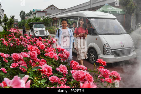 (180617) -- LUONAN, 17. Juni 2018 (Xinhua) - Touristen besuchen eine Rose Stadt in Luonan County im Nordwesten der chinesischen Provinz Shaanxi, 16. Juni 2018. Die rose Stadt in Luonan hat mehr als 200.000 Touristen seit seiner Eröffnung im Mai 2017 erhalten. (Xinhua / Tao Ming) (mcg) Stockfoto