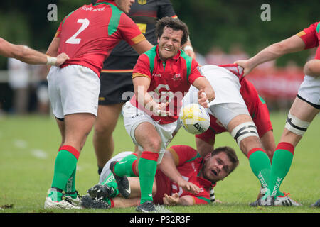 16 Juni 2018, Deutschland, Heidelberg: Qualifikation für die 2019 Rugby World Cup in Japan, Deutschland vs Portugal: Manuel Queiros (Portugal, 9). · Keine LEITUNG SERVICE · Foto: Jürgen Keßler/dpa Stockfoto