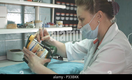 Zahnarzt Hände halten einen Kiefer, Zahnimplantat Stockfoto