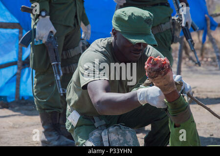 Ein rungwa Game Reserve Game Warden gilt ein stauschlauch an einer simulierten amputee während der Ausbildung 23.08.2016, bei rungwa Game Reserve, Tansania. Mitglieder bilden die 403Rd zivilen Angelegenheiten Bataillon, einer Komponente der Joint Task Force - Horn von Afrika und North Carolina Army National Guard lehrte die Förster Techniken, ihre Fähigkeiten in der kleinen Einheit Taktiken, Erste Hilfe zu erhöhen, sammeln die Intelligenz und andere Bereich Kunsthandwerk. Die Soldaten waren die Rangers in der Wilderer auf der Reserve bekämpfen. Die Wilderei und den illegalen Handel mit Wildtieren hat eine Einnahmequelle für die gewalttätigen extremistischen organizatio werden Stockfoto