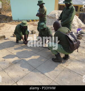 Tansania Förster bauen Geländekarten durch US-Soldaten während Anti beurteilt zu werden - wilderei Ausbildung Aug 1, 2016 at Rungwa Game Reserve, Tansania. Die Förster erbaut Geländemodelle, um zu erfahren, wie geographische Gebiete auf Karten zu Jagd und Wilderei zu repräsentieren. Die Wilderei und den illegalen Handel mit Wildtieren hat eine Einnahmequelle für die gewalttätigen extremistischen Organisationen auf dem Kontinent geworden. Das Training wurde von den Mitgliedern von Nord-carolina Army National Guard und 403Rd zivilen Angelegenheiten Bataillon, einer Komponente der Combined Joint Task Force - Horn von Afrika durchgeführt. (Foto mit freundlicher Genehmigung von Armee Sgt. Billy Al Stockfoto