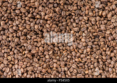 Frisch geröstete Kaffeebohnen in der Nähe von Banyuwangi, Java, Indonesien Stockfoto