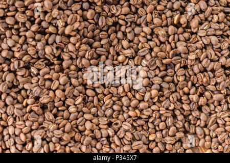 Frisch geröstete Kaffeebohnen in der Nähe von Banyuwangi, Java, Indonesien Stockfoto