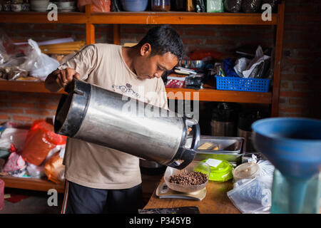 Master Kaffeeröster wiegen Sie frisch geröstete Kaffeebohnen und diese Tasche zu einem röster in der Nähe von Banyuwangi, Java, Indonesien Stockfoto