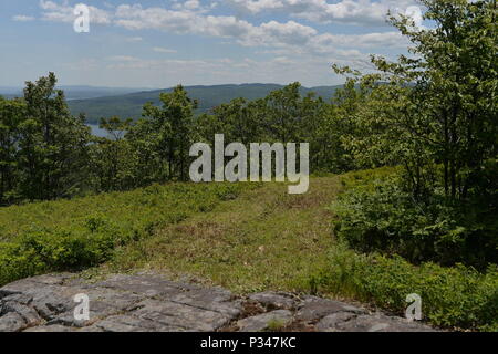 Die absturzstelle von Jolly85, ein HH-3E Helikopter aus dem 102 für Luft- und Raumfahrt Rescue & Recovery Group, jetzt 106 Rettung Flügel, New York Air National Guard, bei Trembleau Berg, Keeseville, N.Y., 12. Juni 2018. Sieben Menschen wurden verloren, wenn die Jolly 85 abgestürzt, die nach Ausbildung bei Plattsburgh AFB, N.Y, 13. Juni 1978. (U.S. Air National Guard Foto von Senior Master Sgt. Cheran A. Cambridge) Stockfoto