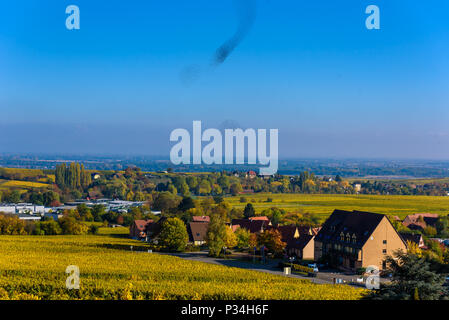 Herde und Schwarm von Vögeln - schöne Formationen der fliegende Vögel Stockfoto