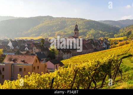 Schönen Herbst Landschaft mit Weinbergen, in der Nähe des historischen Dorf Riquewihr, Elsass, Frankreich - Europa. Bunte Reise- und Weinbereitung Hintergrund. Stockfoto