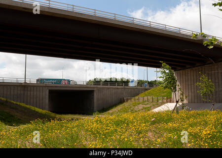 Die Autobahn M6 an Catthorpe Interchange, Leicestershire, England, Großbritannien Stockfoto