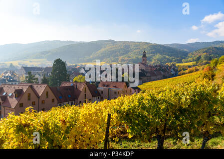 Schönen Herbst Landschaft mit Weinbergen, in der Nähe des historischen Dorf Riquewihr, Elsass, Frankreich - Europa. Bunte Reise- und Weinbereitung Hintergrund. Stockfoto