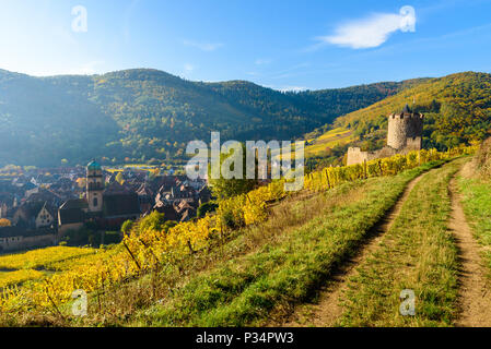 Chateau de Kaysersberg - historisches Dorf in der Weinregion, die Weinberge im Elsass, Frankreich - Europa Stockfoto