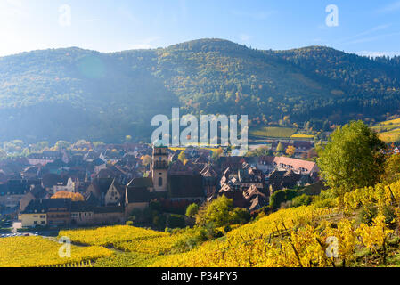 Chateau de Kaysersberg - historisches Dorf in der Weinregion, die Weinberge im Elsass, Frankreich - Europa Stockfoto