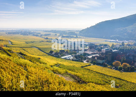 Chateau de Kaysersberg - historisches Dorf in der Weinregion, die Weinberge im Elsass, Frankreich - Europa Stockfoto