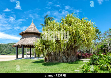 Direkt am Strand Pavillon im Shangri La Rasa Ria Hotel und Resort in Kota Kinabalu, Borneo, Malaysia Stockfoto