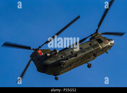 RAF Chinook, ZD 983 wird an der RAF Cosford Airshow 100, 10. Juni 2018. Chinook 27 squadron RAF Odiham, Hants. Stockfoto