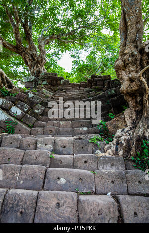 Stein Schritte bei der Mehrwertsteuer Phou Tempel komplex, der Provinz Champasak, Laos. Bild vertikal Stockfoto