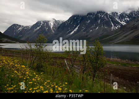 Lyngen Alpen ist ein Gebirge in der Provinz Troms im nördlichen Norwegen erstreckt sich 90 Kilometer entlang Lyngen Halbinsel. Lyngen-Alpen Sindh ein 90 Ki Sterben Stockfoto