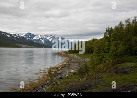 Lyngen Alpen ist ein Gebirge in der Provinz Troms im nördlichen Norwegen erstreckt sich 90 Kilometer entlang Lyngen Halbinsel. Lyngen-Alpen Sindh ein 90 Ki Sterben Stockfoto