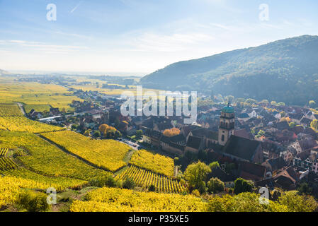 Weinberge im Chateau de Kaysersberg - Elsass in Frankreich - Reiseziel in Europa Stockfoto