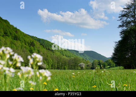 Banska Bela (Dilln): Stiavnica Berge (Stiavnicke vrchy), yalley von stream Jasenica in der Slowakei, Stockfoto