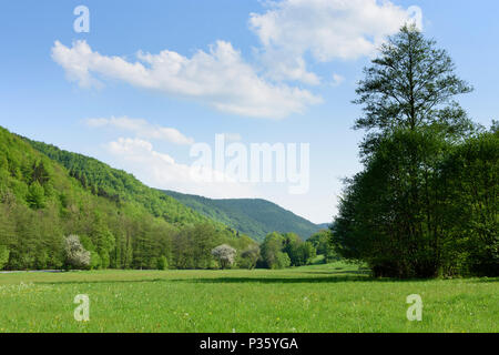 Banska Bela (Dilln): Stiavnica Berge (Stiavnicke vrchy), yalley von stream Jasenica in der Slowakei, Stockfoto