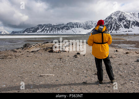 Norwegen, Svalbard, Spitzbergen, Amsterdam Insel aka Amsterdamoya, Smeerenburg. Niederländische Walfangstation in Verwendung von 1614-1655. Stockfoto