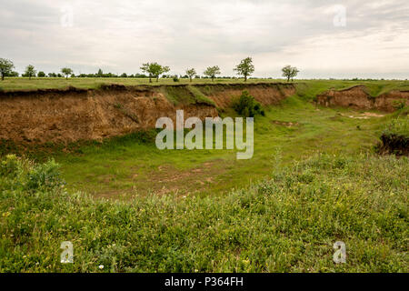 Die alte Canyon von Sand Mining mit Gras, Bäumen und Sträuchern bewachsen Stockfoto