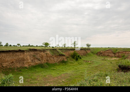 Die alte Canyon von Sand Mining mit Gras, Bäumen und Sträuchern bewachsen Stockfoto