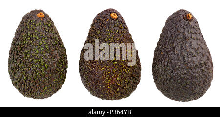 Hass avocado Pfad isoliert Stockfoto