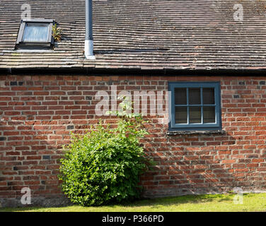 Green Bush gegen eine geringe überdachte Scheune Gebäude Stockfoto