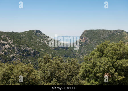 El Pinsapar, Biosphärenreservat, Sierra de Grazalema, mit Garganta Verde im Hintergrund, Andalusien, Spanien. Stockfoto