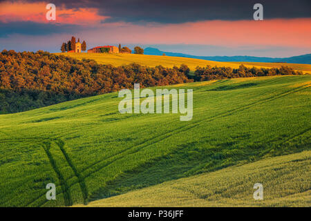 Erstaunlich bunten Sonnenuntergang, spektakuläre Vitaleta Kapelle (Cappella di Vitaleta) mit Korn Felder in der Nähe von San Quirico d'Orcia, Toskana, Italien, Europa Stockfoto