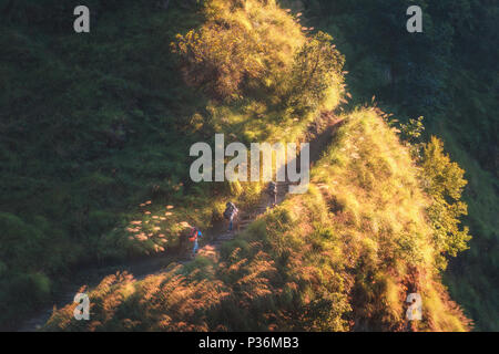 Nepalesische Männer mit Taschen zu Fuß auf den Berg mit gelben Gras und Bäume im hellen Sommerabend in Nepal. Landschaft mit Gepäckträger mit Gepäck in t Stockfoto