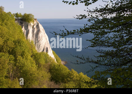 Sassnitz, Deutschland, Blick auf den Königsstuhl in der Nähe der Nationalpark Jasmund Stockfoto