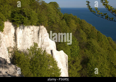 Sassnitz, Deutschland, Blick auf den Königsstuhl in der Nähe der Nationalpark Jasmund Stockfoto