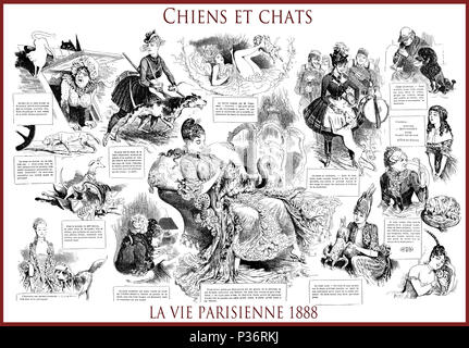 Französische satirische Zeitschrift La vie parisienne 1888, zentrale Seite: Chiens et Chats (Hunde und Katzen), Frauen, Hunde, Katzen, Humor, Karikaturen, Porträts Stockfoto