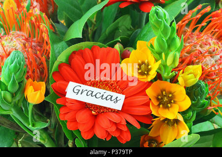 Gracias (Danke auf Spanisch) mit rosa Nelken Stockfoto, Bild 82592749
