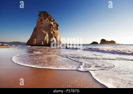 Hoho Rock, Cathedral Cove, Coromandel Halbinsel, Neuseeland Stockfoto