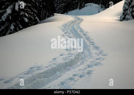 Oder 02523-00 ... OREGON - Loipen entlang des Rim Drive in Crater Lake National Park. Stockfoto