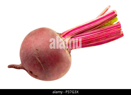 Rote-bete-Pfad isoliert Stockfoto