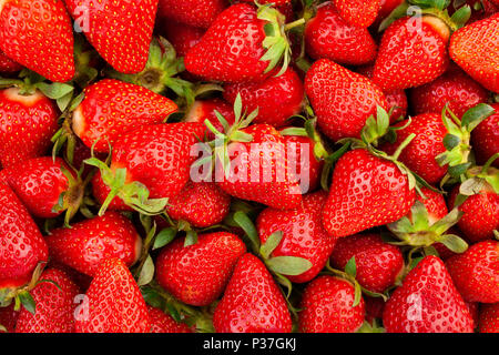 Erdbeere Textur Hintergrund Stockfoto