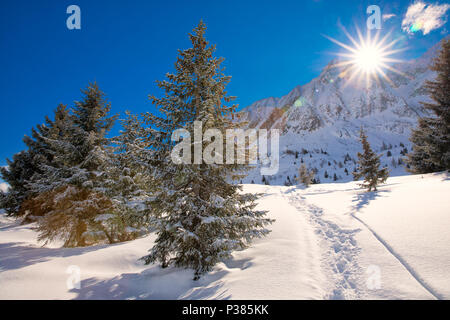 Bäume durch frischen Schnee in den Alpen abgedeckt. Atemberaubende Winterlandschaft. Stockfoto